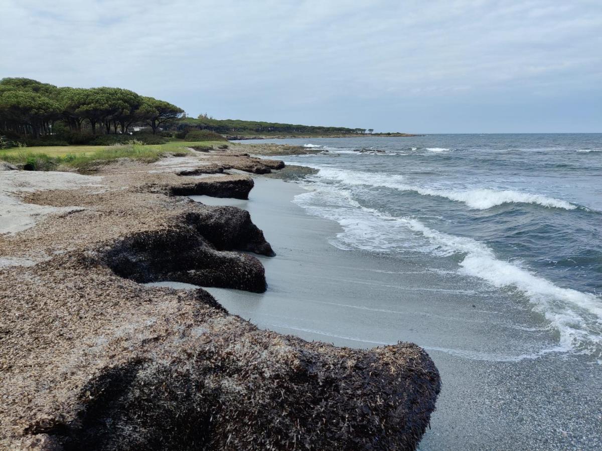 Rotonda Sul Mare Βίλα Budoni Εξωτερικό φωτογραφία