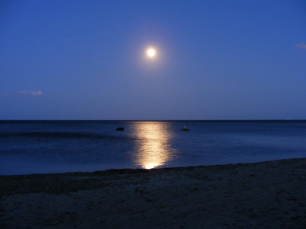 Rotonda Sul Mare Βίλα Budoni Εξωτερικό φωτογραφία